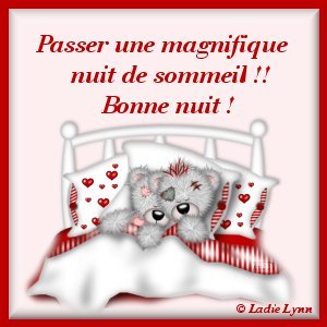 Bonne nuit ...............