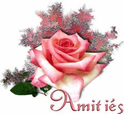 L'amiti� est precieuse