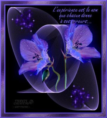 L'exp�rience !