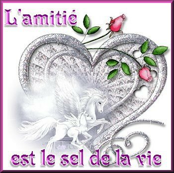 Le sel de la vie..............