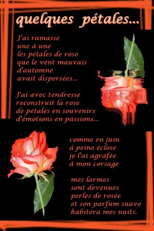 quelques p�tales