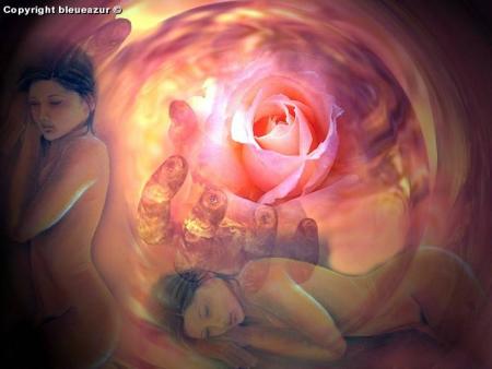 Rose, mon Amour.............