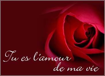 Amour......