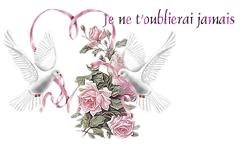 La vie continue ..................