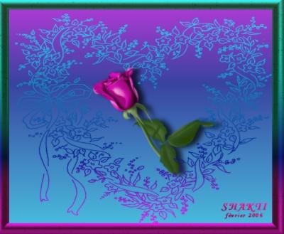 Je vous l'offre cette rose