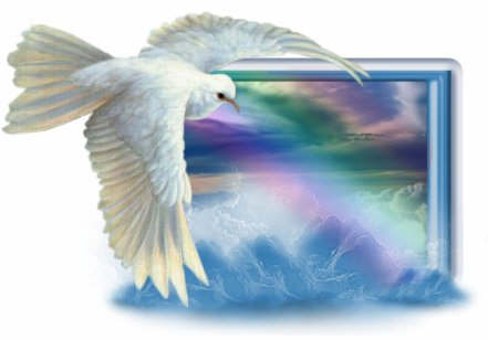 nous sommes le 21 novembre