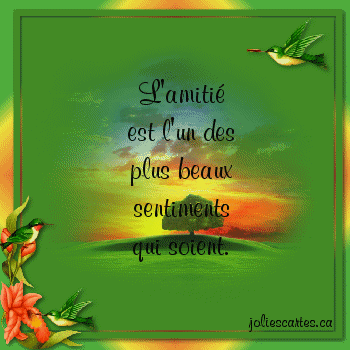 Les amis sont pr�cieux............
