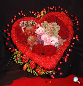 Les larmes du coeur sont des petales de fleurs