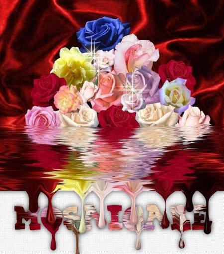 Bon week-end � tous........................