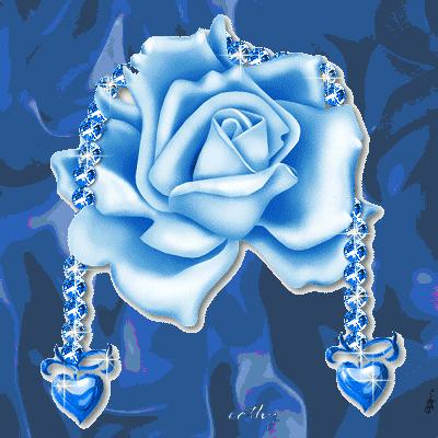 Bonne journ�e � tous 